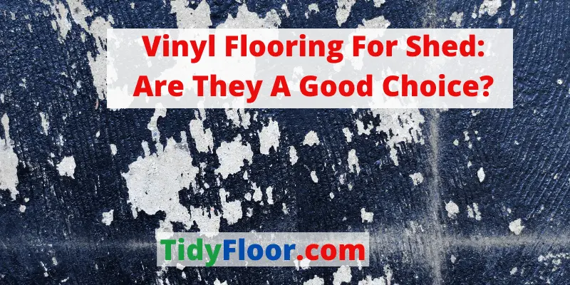 Vinyl Flooring For Shed: Are They A Good Choice
