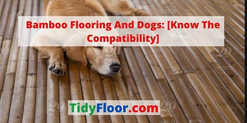 bamboo flooring and dogs