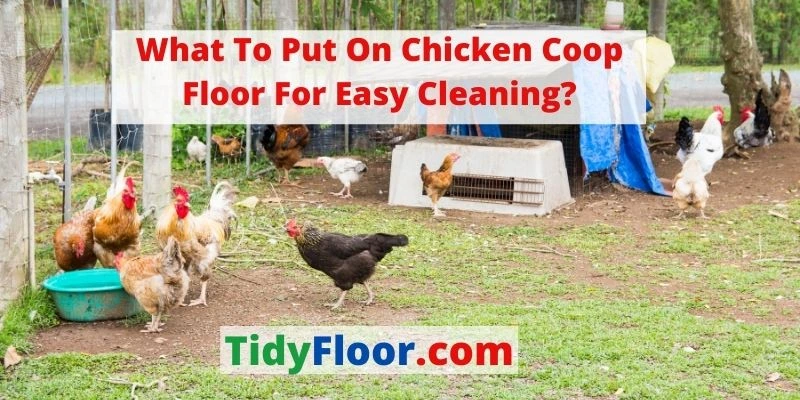 what to put on chicken coop floor for easy cleaning