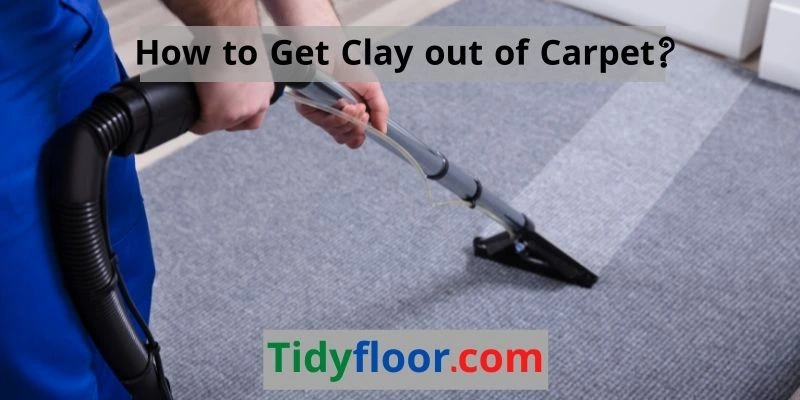 How To Get Clay Out Of Carpet?