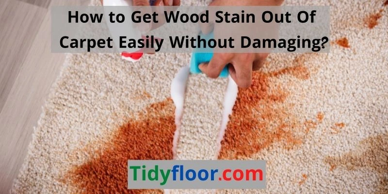 Get Wood Stain Out Of Carpet
