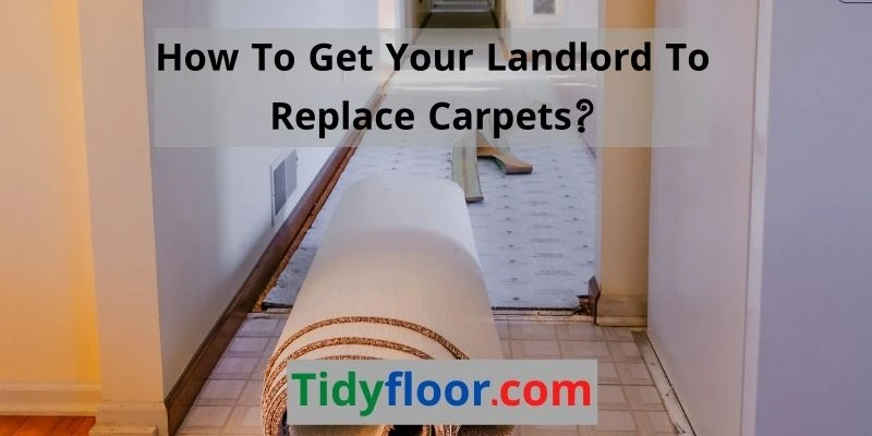 Get Your Landlord To Replace Carpets