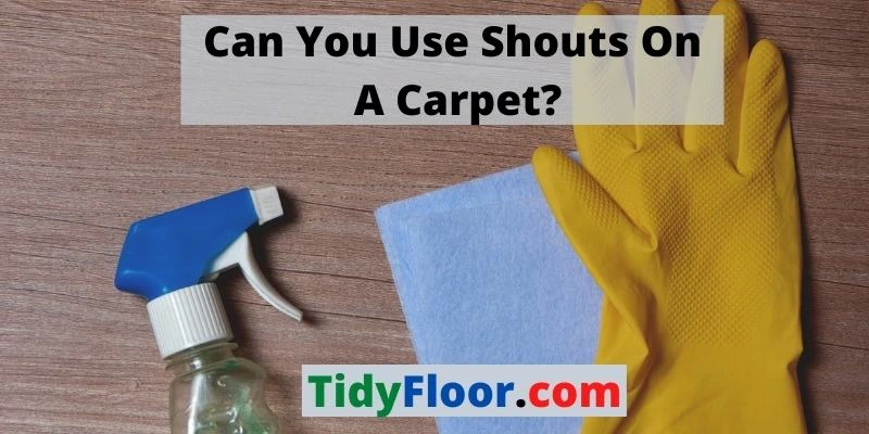 Can You Use Shouts On A Carpet