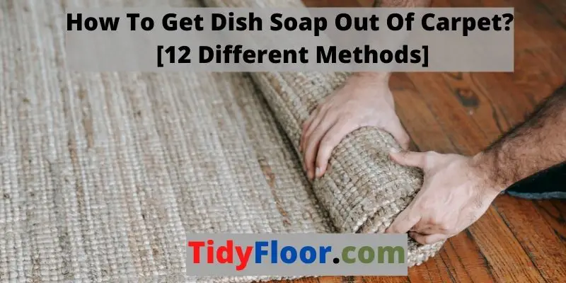 Get Dish Soap Out Of Carpet