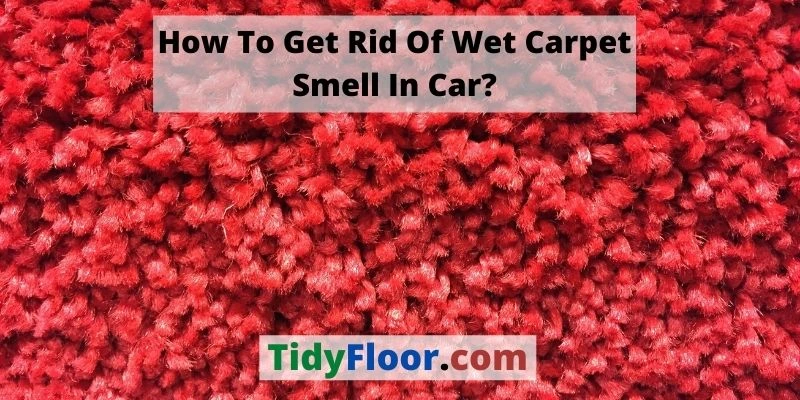 Get Rid Of Wet Carpet Smell In Car