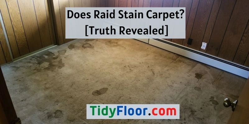 Does Raid Stain Carpet? [Truth Revealed]