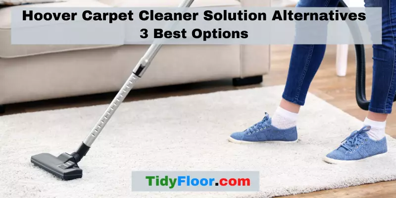 Hoover Carpet Cleaner