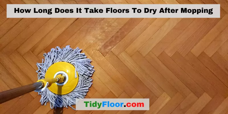 How Long Does It Take Floors To Dry After Mopping