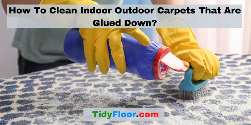 How To Clean Indoor Outdoor Carpets That Are Glued Down