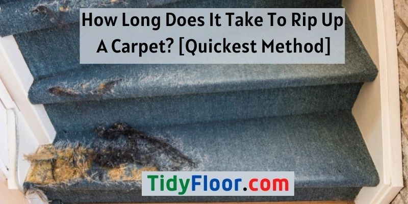 Rip Up A Carpet
