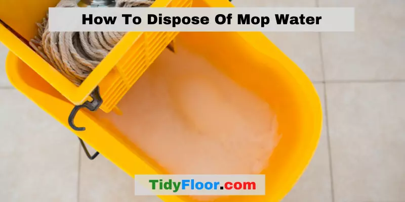 How To Dispose Of Mop Water