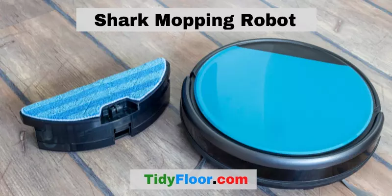 Shark Mopping Robot