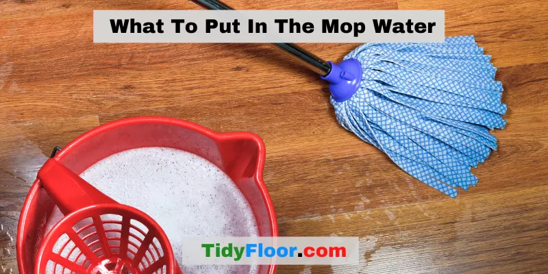 What To Put In The Mop Water