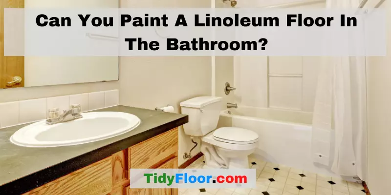Can You Paint A Linoleum Floor In The Bathroom