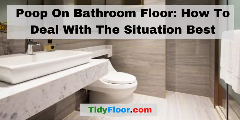 Poop On Bathroom Floor How To Deal With The Situation Best