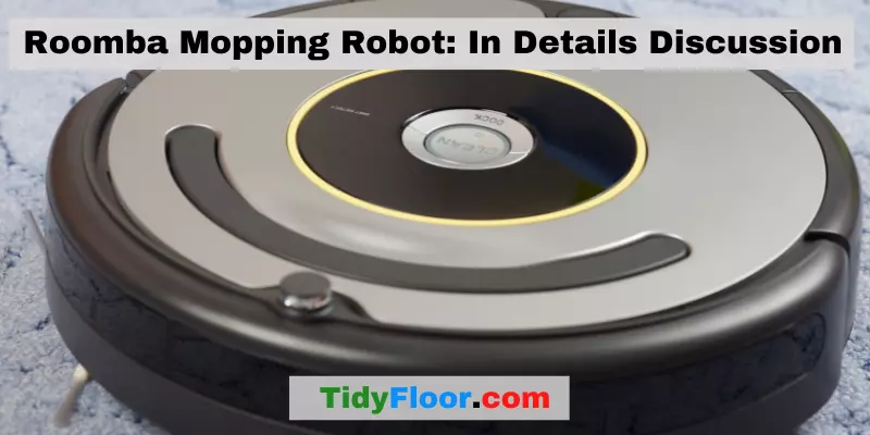 Roomba Mopping Robot In Details Discussion