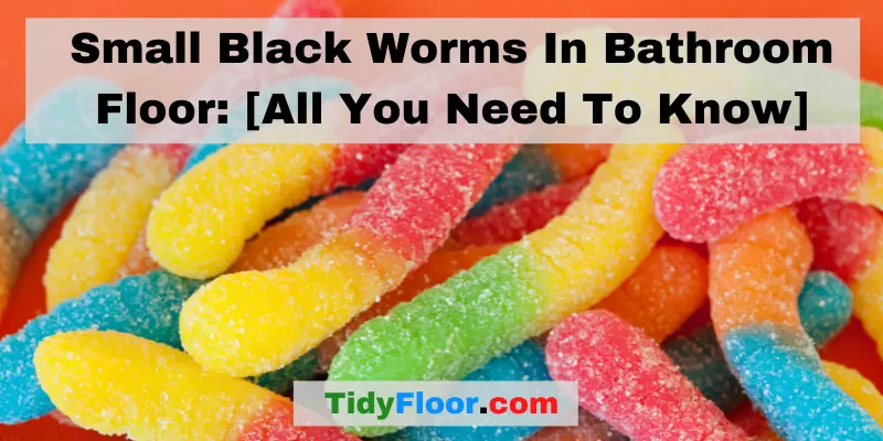 Small Black Worms In Bathroom Floor