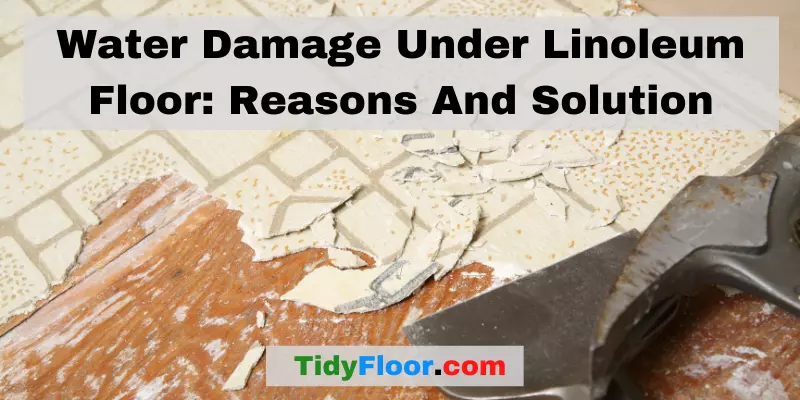 Water Damage Under Linoleum Floor Reasons And Solution