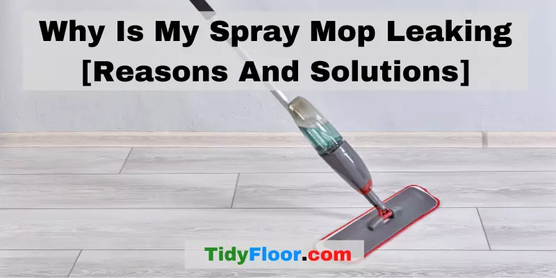 Why Is My Spray Mop Leaking