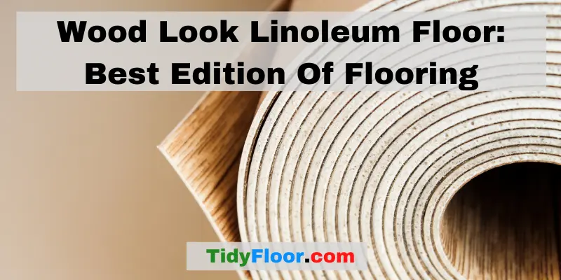Wood Look Linoleum Floor Best Edition Of Flooring