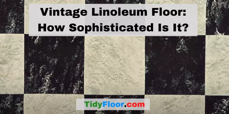 Vintage Linoleum Floor How Sophisticated Is It