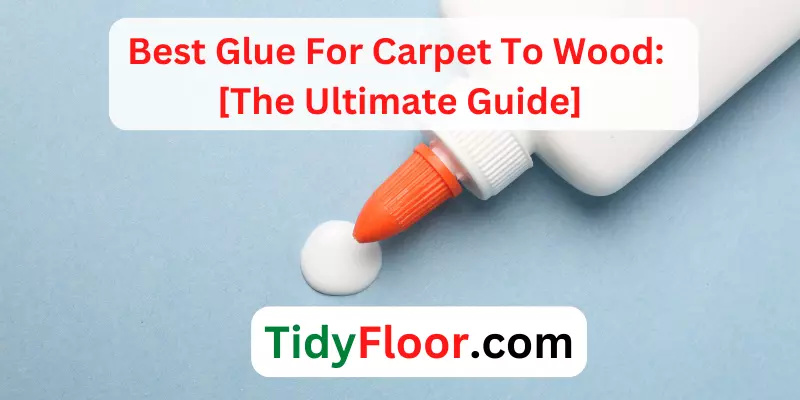 Best Glue For Carpet To Wood