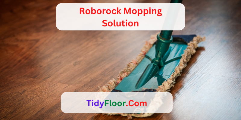 Roborock Mopping Solution