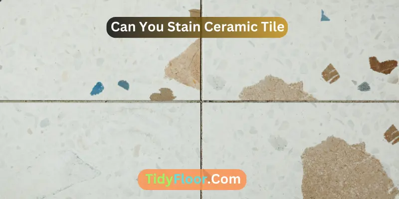 Can You Stain Ceramic Tile