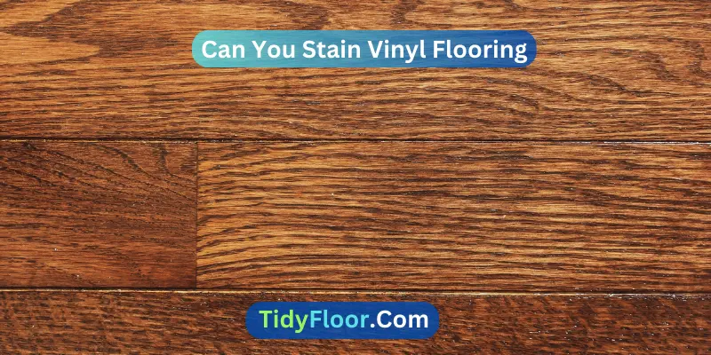 Can You Stain Vinyl Flooring
