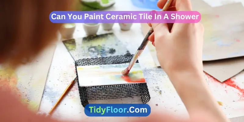 Can You Paint Ceramic Tile In A Shower